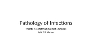 Pathology of Infections
Themba Hospital FCOG(SA) Part 1 Tutorials
By Dr N.E Manana
 