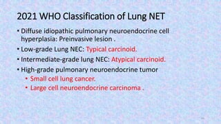 Nec Classification Radiology Pathology of Lung Neoplasm seminar Y12HMC.pptx