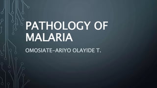 PATHOLOGY OF
MALARIA
OMOSIATE-ARIYO OLAYIDE T.
 
