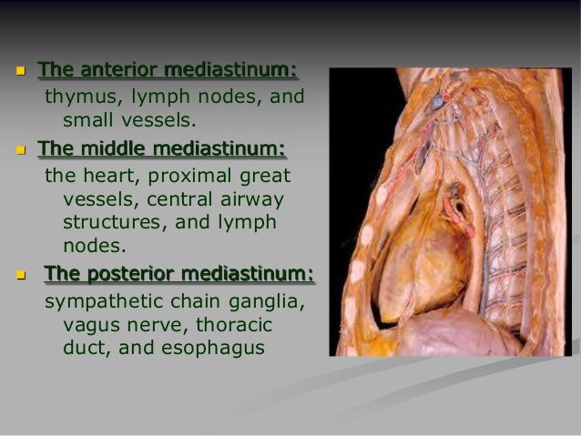 Pathology of mediastinal masses