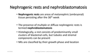 Pathology of Pediatric Abdominal Tumors by Dr sinboona.pptx