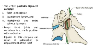 • The entire posterior ligament
complex
i. facet joint capsule,
ii. ligamentum flavum, and
iii. Interspinous and supra
spinous ligaments
• keeps facet joints and
vertebrae in a stable position
with each other
• Injuries to this complex can
result in subluxation or
displacement of the facet
 