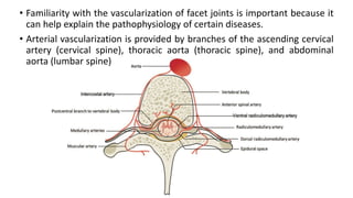 • Familiarity with the vascularization of facet joints is important because it
can help explain the pathophysiology of certain diseases.
• Arterial vascularization is provided by branches of the ascending cervical
artery (cervical spine), thoracic aorta (thoracic spine), and abdominal
aorta (lumbar spine)
 