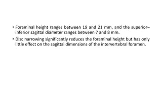 • Foraminal height ranges between 19 and 21 mm, and the superior–
inferior sagittal diameter ranges between 7 and 8 mm.
• Disc narrowing significantly reduces the foraminal height but has only
little effect on the sagittal dimensions of the intervertebral foramen.
 