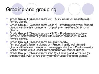 Pathology of prostate | PPT