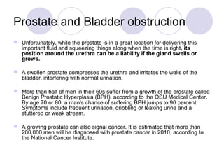 Prostate and Bladder obstruction
 Unfortunately, while the prostate is in a great location for delivering this
important ...