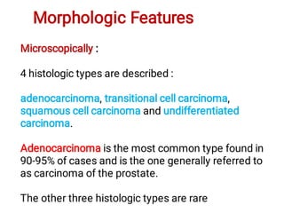 Morphologic Features
Microscopically :
4 histologic types are described :
adenocarcinoma, transitional cell carcinoma,
squamous cell carcinoma and undifferentiated
carcinoma.
Adenocarcinoma is the most common type found in
90-95% of cases and is the one generally referred to
as carcinoma of the prostate.
The other three histologic types are rare
 