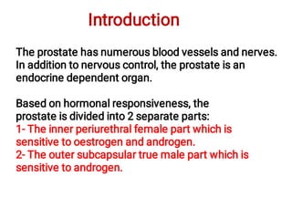 Introduction
The prostate has numerous blood vessels and nerves.
In addition to nervous control, the prostate is an
endocrine dependent organ.
Based on hormonal responsiveness, the
prostate is divided into 2 separate parts:
1- The inner periurethral female part which is
sensitive to oestrogen and androgen.
2- The outer subcapsular true male part which is
sensitive to androgen.
 