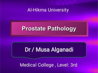 Dr / Musa Alganadi
Al-Hikma University
Medical College , Level: 3rd
 