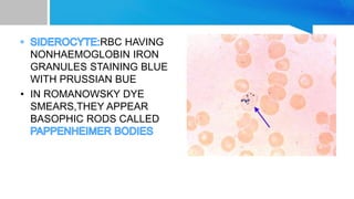Pathology of rbc and wbc | PPTX