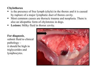 Pathology of respiratory system | PDF