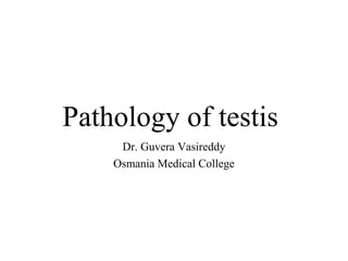 Pathology of testis
Dr. Guvera Vasireddy
Osmania Medical College
 