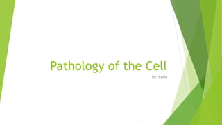 Pathology of the Cell
Dr. Sami
 