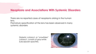 A short dive into the patholpgy of the human lens and how to reach it ...