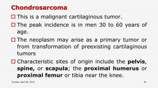 Pathology of the musculoskeletal system 1 | PPSX