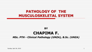 PATHOLOGY OF THE
MUSCULOSKELETAL SYSTEM
BY
CHAPIMA F.
MSc. PTH - Clinical Pathology (UNZA), B.Sc. (UNZA)
Sunday, April 26, 2015 1
 