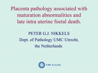 Placenta pathology associated with
   maturation abnormalities and
   late intra uterine foetal death.

        PETER G.J. NIKKELS
   Dept. of Pathology UMC Utrecht,
            the Netherlands
 