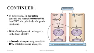 Pathology_of_the_Prostate[1].pptx and prostate ca | PPTX