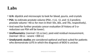 Pathology_of_the_Prostate[1].pptx and prostate ca | PPTX