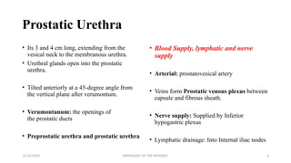 Pathology_of_the_Prostate[1].pptx and prostate ca | PPTX