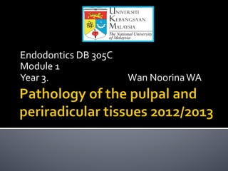 Endodontics	
  DB	
  305C	
  
Module	
  1	
  
Year	
  3.	
  	
  	
  	
  	
  	
  	
  	
  	
  	
  	
  	
  	
  	
  	
  	
  	
  	
  	
  	
  	
  	
  	
  	
  	
  	
  	
  	
  	
  	
  	
  	
  	
  	
  	
  	
  	
  	
  Wan	
  Noorina	
  WA	
  
 