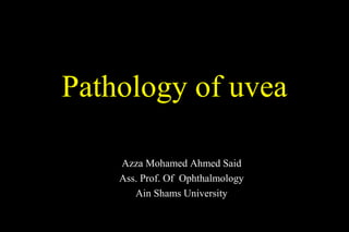 Pathology of uvea
Azza Mohamed Ahmed Said
Ass. Prof. Of Ophthalmology
Ain Shams University

 