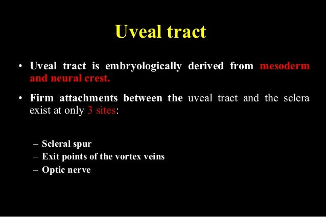 uveal tract