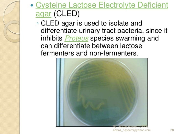 Pathology ospe revised edition