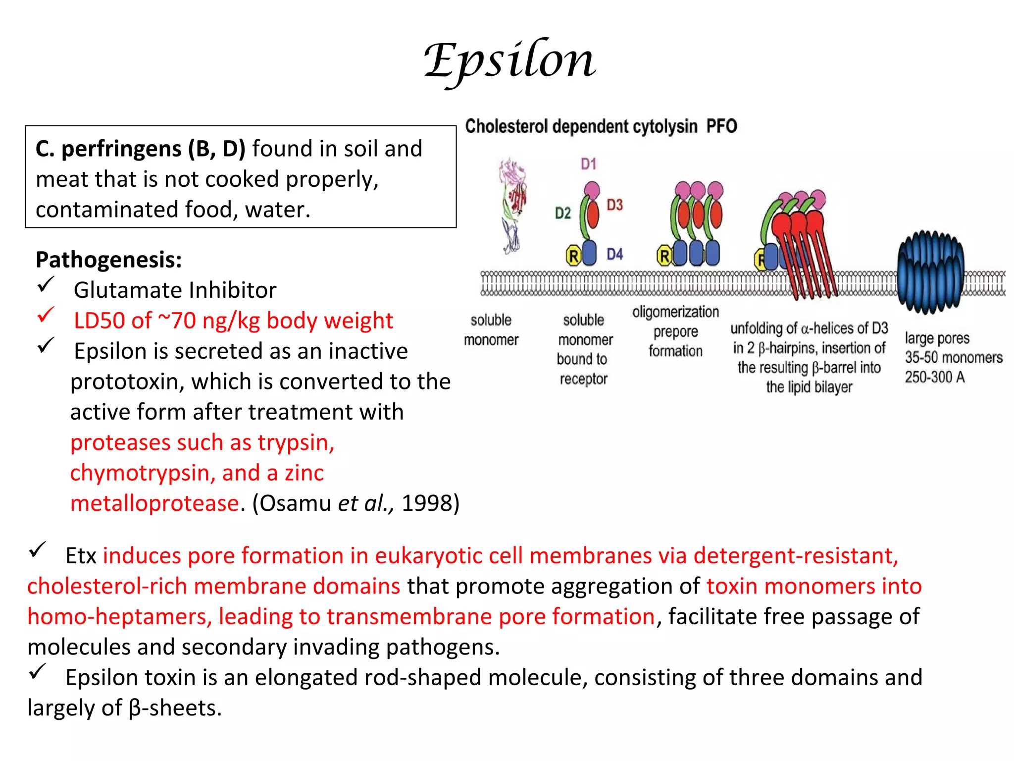 Pathology & pathogenesis of different toxins, poisons other than ...