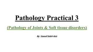 Pathology Practical 3
)Pathology of Joints & Soft tissue disorders)
By : Saeed Saleh Aziz
 