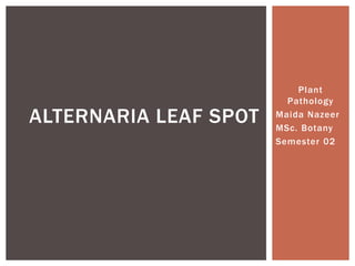 Plant
Pathology
Maida Nazeer
MSc. Botany
Semester 02
ALTERNARIA LEAF SPOT
 