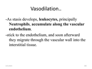 Vasodilation..
-As stasis develops, leukocytes, principally
Neutrophils, accumulate along the vascular
endothelium.
-stick to the endothelium, and soon afterward
they migrate through the vascular wall into the
interstitial tissue.
2/21/2023 100
 