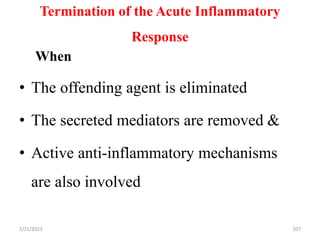 Termination of the Acute Inflammatory
Response
When
• The offending agent is eliminated
• The secreted mediators are removed &
• Active anti-inflammatory mechanisms
are also involved
2/21/2023 107
 