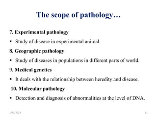 The scope of pathology…
7. Experimental pathology
 Study of disease in experimental animal.
8. Geographic pathology
 Study of diseases in populations in different parts of world.
9. Medical genetics
 It deals with the relationship between heredity and disease.
10. Molecular pathology
 Detection and diagnosis of abnormalities at the level of DNA.
2/21/2023 11
 