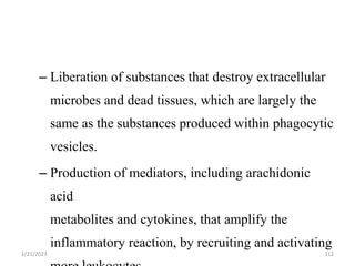 – Liberation of substances that destroy extracellular
microbes and dead tissues, which are largely the
same as the substances produced within phagocytic
vesicles.
– Production of mediators, including arachidonic
acid
metabolites and cytokines, that amplify the
inflammatory reaction, by recruiting and activating
2/21/2023 112
 