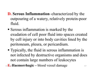 D. Serous Inflammation–characterized by the
outpouring of a watery, relatively protein-poor
fluid.
 Serous inflammation is marked by the
exudation of cell poor fluid into spaces created
by cell injury or into body cavities lined by the
peritoneum, pleura, or pericardium.
 Typically, the fluid in serous inflammation is
not infected by destructive organisms and does
not contain large numbers of leukocytes
E. Haemorrhagic – blood vessel damage
2/21/2023 117
 