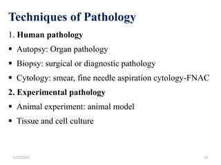 Techniques of Pathology
1. Human pathology
 Autopsy: Organ pathology
 Biopsy: surgical or diagnostic pathology
 Cytology: smear, fine needle aspiration cytology-FNAC
2. Experimental pathology
 Animal experiment: animal model
 Tissue and cell culture
2/21/2023 12
 