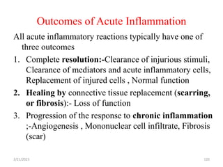 Outcomes of Acute Inflammation
All acute inflammatory reactions typically have one of
three outcomes
1. Complete resolution:-Clearance of injurious stimuli,
Clearance of mediators and acute inflammatory cells,
Replacement of injured cells , Normal function
2. Healing by connective tissue replacement (scarring,
or fibrosis):- Loss of function
3. Progression of the response to chronic inflammation
;-Angiogenesis , Mononuclear cell infiltrate, Fibrosis
(scar)
2/21/2023 120
 