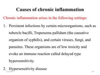 Causes of chronic inflammation
124
Chronic inflammation arises in the following settings:
1. Persistent infections by certain microorganisms, such as
tubercle bacilli, Treponema pallidum (the causative
organism of syphilis), and certain viruses, fungi, and
parasites. These organisms are of low toxicity and
evoke an immune reaction called delayed type
hypersensitivity.
2. Hypersensitivity disease
2/21/2023
 