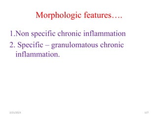 Morphologic features….
127
1.Non specific chronic inflammation
2. Specific – granulomatous chronic
inflammation.
2/21/2023
 