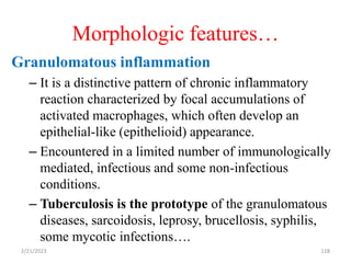 Morphologic features…
128
Granulomatous inflammation
– It is a distinctive pattern of chronic inflammatory
reaction characterized by focal accumulations of
activated macrophages, which often develop an
epithelial-like (epithelioid) appearance.
– Encountered in a limited number of immunologically
mediated, infectious and some non-infectious
conditions.
– Tuberculosis is the prototype of the granulomatous
diseases, sarcoidosis, leprosy, brucellosis, syphilis,
some mycotic infections….
2/21/2023
 