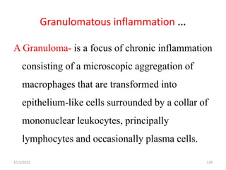 Granulomatous inflammation …
129
A Granuloma- is a focus of chronic inflammation
consisting of a microscopic aggregation of
macrophages that are transformed into
epithelium-like cells surrounded by a collar of
mononuclear leukocytes, principally
lymphocytes and occasionally plasma cells.
2/21/2023
 