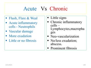 Acute Vs Chronic
139
 Flush, Flare & Weal
 Acute inflammatory
cells - Neutrophils
 Vascular damage
 More exudation
 Little or no fibrosis
 Little signs
 Chronic inflammatory
cells –
Lymphocytes,macropha
ges
 Neo-vascularization
 No/less exudation;
abscess.
 Prominent fibrosis
2/21/2023
 