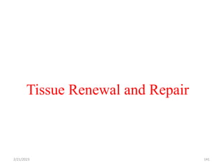 Tissue Renewal and Repair
2/21/2023 141
 