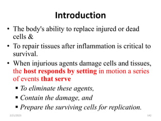 Introduction
• The body's ability to replace injured or dead
cells &
• To repair tissues after inflammation is critical to
survival.
• When injurious agents damage cells and tissues,
the host responds by setting in motion a series
of events that serve
 To eliminate these agents,
 Contain the damage, and
 Prepare the surviving cells for replication.
142
2/21/2023
 