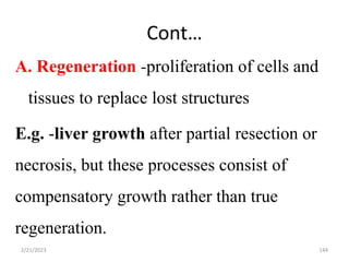 Cont…
A. Regeneration -proliferation of cells and
tissues to replace lost structures
E.g. -liver growth after partial resection or
necrosis, but these processes consist of
compensatory growth rather than true
regeneration.
2/21/2023 144
 