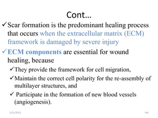 Cont…
Scar formation is the predominant healing process
that occurs when the extracellular matrix (ECM)
framework is damaged by severe injury
ECM components are essential for wound
healing, because
They provide the framework for cell migration,
Maintain the correct cell polarity for the re-assembly of
multilayer structures, and
 Participate in the formation of new blood vessels
(angiogenesis).
2/21/2023 146
 
