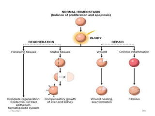 Cont…
2/21/2023 148
 