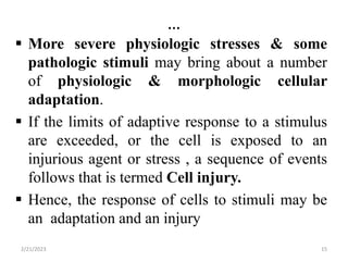 …
 More severe physiologic stresses & some
pathologic stimuli may bring about a number
of physiologic & morphologic cellular
adaptation.
 If the limits of adaptive response to a stimulus
are exceeded, or the cell is exposed to an
injurious agent or stress , a sequence of events
follows that is termed Cell injury.
 Hence, the response of cells to stimuli may be
an adaptation and an injury
2/21/2023 15
 