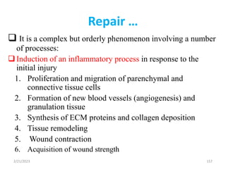 Repair …
 It is a complex but orderly phenomenon involving a number
of processes:
Induction of an inflammatory process in response to the
initial injury
1. Proliferation and migration of parenchymal and
connective tissue cells
2. Formation of new blood vessels (angiogenesis) and
granulation tissue
3. Synthesis of ECM proteins and collagen deposition
4. Tissue remodeling
5. Wound contraction
6. Acquisition of wound strength
157
2/21/2023
 